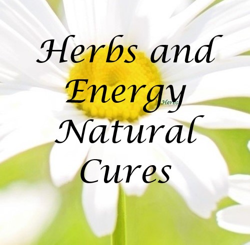 Herbs and Energy Natural Cures Logo